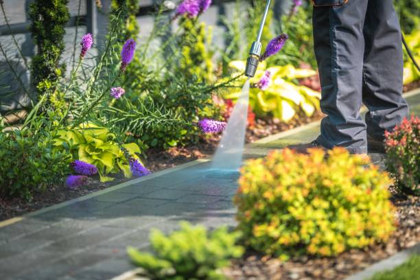 Best Fence Cleaning and Maintenance in Rolling Meadows, IL