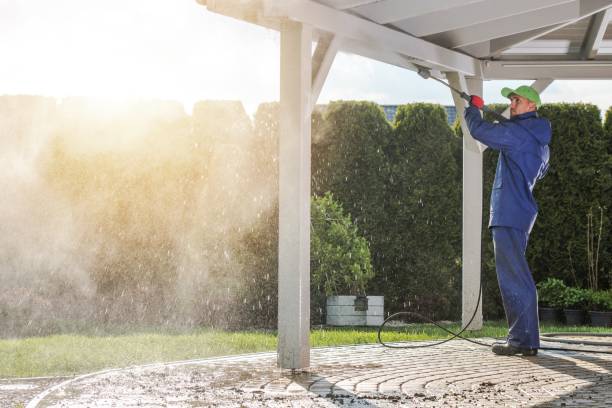 Best Soft Washing for Delicate Surfaces in Rolling Meadows, IL